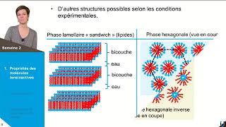 LES PROPRIÉTÉS DES TENSIOACTIFS ET LEURS STRUCTURES EN VOLUME [upl. by Abbey]