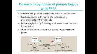 MBS Lehninger Chapter 22 Biosynthesis of Purines [upl. by Ijneb]