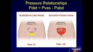 LABORIE Webinar Series Components of Urodynamic Testing [upl. by Ronyar463]