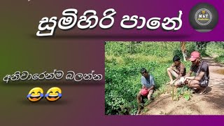 සුමිහිරි පානේ  sumihiri pane MampT production comedy 😂😂 [upl. by Zephaniah743]