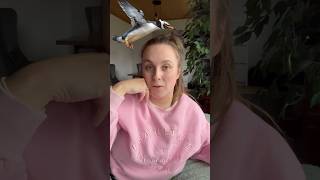 Kathi erklärt dir die Welt 🌍 Pinguine können eigentlich fliegen funny pinguin laugh comedy [upl. by Barbra]