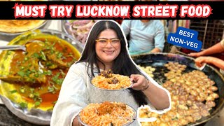 BEST LUCKNOW STREET FOOD  Best NonVeg In Lucknow  Tundey Kebabi Nihari Kulcha Mutton Biryani [upl. by Yuria]