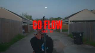 GNSL CO  Co Flow official music video [upl. by Gonzales]