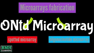 Oligonucleotide Microarrays In Situ Synthesized Oligonucleotide Microarrays Microarray Fabrication [upl. by Berstine]