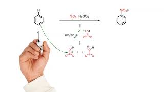 Sulfonation of benzene [upl. by Hairahcaz706]