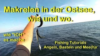 Makrelen in der Ostsee wie und wo vom Boot [upl. by Ajna]