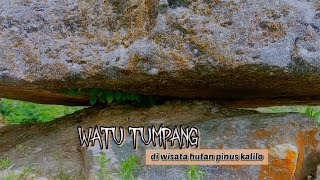 KEAJAIBAN DUNIA‼️ Watu tumpang di hutan pinus kalilo [upl. by Adleme]