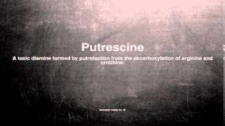 Medical vocabulary What does Putrescine mean [upl. by Ailedo362]