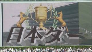 マカヒキ号優勝【2016年日本ダービー（ＧⅠ）】 [upl. by Jenkel]