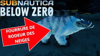 Comment Obtenir de la Fourrure de Rodêur des Neiges  sur Subnautica Below Zero [upl. by Trix460]