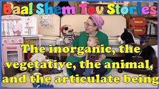 Baal Shem Tov Stories for kids  8 The inorganic vegetative animal and articulate beingChassidus [upl. by Cecilla]