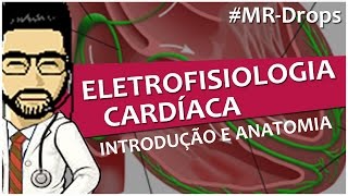 Sistema de condução elétrico coração  Eletrofisiologia  Nós feixes e fibras vídeoaula resumo [upl. by Letniuq]