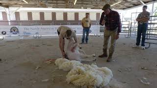 The Sheep Games Cammy Wilson Shearing Demo at the North American Hill Sheep Show [upl. by Danny773]