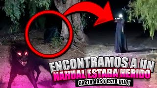 Encontramos un NAHUAL y estaba HERIDO👹 [upl. by Boggers270]