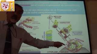 Biología  Citoesqueleto II  H Lezama [upl. by Modesta]