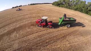 Pratt Kansas Wheat Harvest  June 2016 [upl. by Nored]