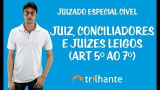 Juizado Especial Cível  Juiz Conciliadores e Juízes Leigos Art 5º ao 7º [upl. by Senga796]