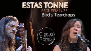 Estas Tonne feat Peia Luzzi  Birds Teardrops Cignus Remix [upl. by Nomrah]