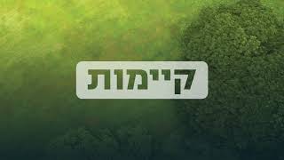 הכירו את Leadax Roov [upl. by Schonfield]