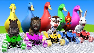 5 Giant Duck Cartoon cowlionchickenrabbithippo Paint Wild Animals Crossing Fountain Animation 2 [upl. by Seeto94]