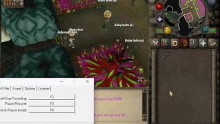 OSRS  FIRST Level 3 Skiller to COMPLETE Raids [upl. by Tsan90]