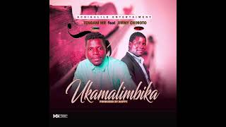 Tengane mr Ft Jimmy ChimotoUkamalimbika [upl. by Nuawtna933]