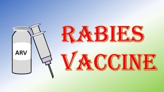 Anti Rabies Vaccine Schedule For Dog Bite  Exposure  Post Exposure  Pre Exposure [upl. by Alberik192]