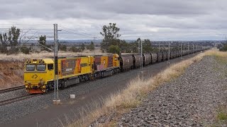 Distributed power EMDs hauling coal  Australian Railways [upl. by Crispas]