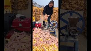 Corn chips🌽🌽 amazingfacts youtubeshorts [upl. by Cahan]