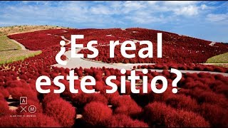 ¿Este sitio ES REAL o ¿El internet NOS ENGAÑA  Alan por el mundo [upl. by Crenshaw]