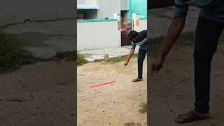 firecracker saravedi youtubeshorts theri vedi 100wala blast diwalicracker RAJ [upl. by Kenley697]