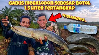 2 HARI MENCARI PREDATOR PURBA TERBESAR DI SPOT RAHASIA [upl. by Scotney]