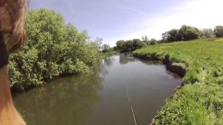 Sea Trout On The Dropper Fly [upl. by Arvo856]