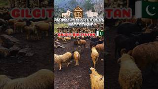 Mountain shepherds lifestyle  Shepherds House  mountains shepherd azan [upl. by Ylle]