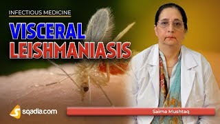 Visceral Leishmaniasis  Leishmania Donovani Disease  Medicine Lectures  VLearning [upl. by Tish211]