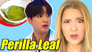 American Couple Reacts To The BTS PERILLA LEAF Debate [upl. by Halford]