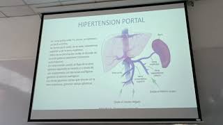 PT ABDOMEN CLASE 4 PARTE 1 [upl. by Earle]