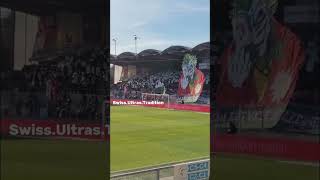 FC Sion performance at home against FC Luzern10112024 football ultras ultrasworld fcsi [upl. by Nireves823]