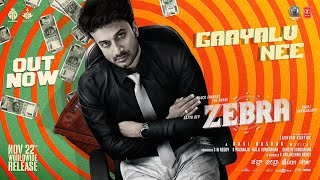 GAAYALU NEE Lyrical Video  Zebra  Satya Dev Daali Dhananjaya  Ravi Basrur  Eashvar Karthic [upl. by Lacey]