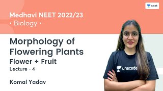 Morphology of Flowering Plants  Flower  Fruit  L4  NEET 202223  Unacademy NEET  Komal Yadav [upl. by Enyar]