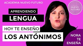 Antónimos qué son tipos y ejemplos seguro que te sorprende [upl. by Netsriik]