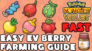 How to FARM EV Berries in Pokemon Scarlet and Violet [upl. by Lirbij488]