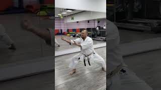 Kanshiwa kata Uechi ryu karate working on inner spring gamaku and Chinkuchi  Ryubin dojo [upl. by Ennaer]