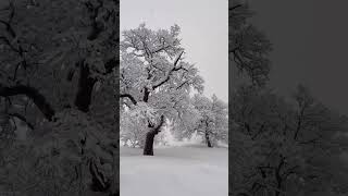 snowfall oneheart snowsnowfall snowman nightcore musicvideo snowwhite [upl. by Tyree]