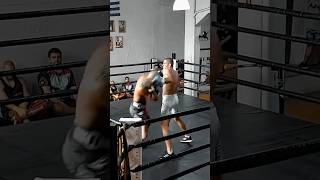 Boxing Sparring Alex Pereira [upl. by Uird]