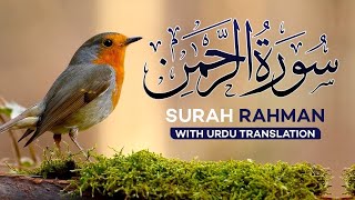 Surah Rahman Tilawat Urdu Tarjuma Full  Episode 133  Qari Al Sheikh Abdul Basit Abdul Samad [upl. by Laks539]