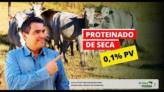 Como fazer proteinado de seca 01 PV [upl. by Josey747]