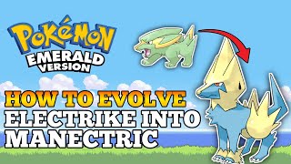 How To Evolve Electrike Into Manectric In Pokemon Emerald  Hoenn Region [upl. by Buchalter]