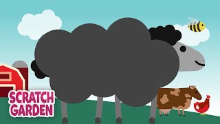 Baa Baa Black Sheep  Nursery Rhyme Song  Scratch Garden [upl. by Anayet959]