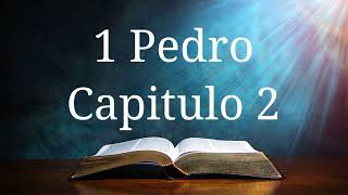 1 Pedro  Capitulo 2 [upl. by Fowle]